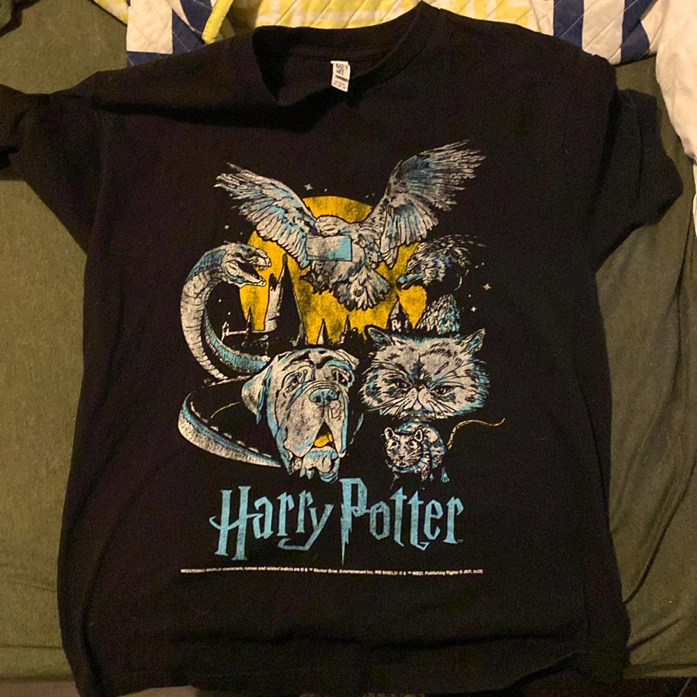 Men’s Harry Potter Tee